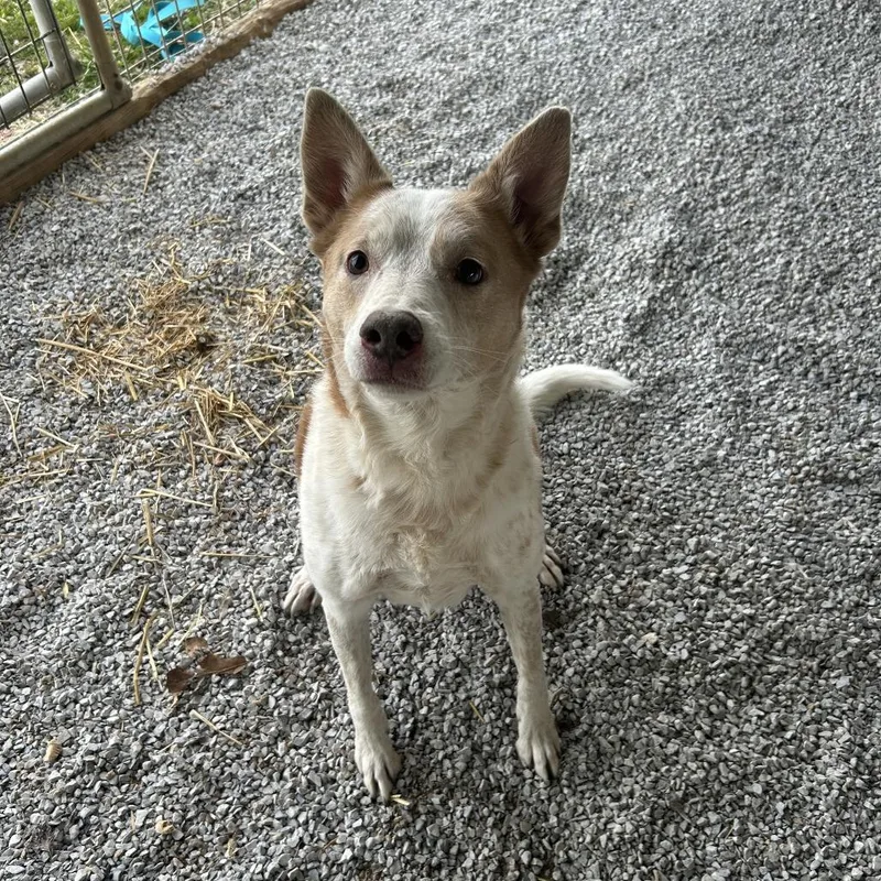 Lady Gaga thumbnail 2