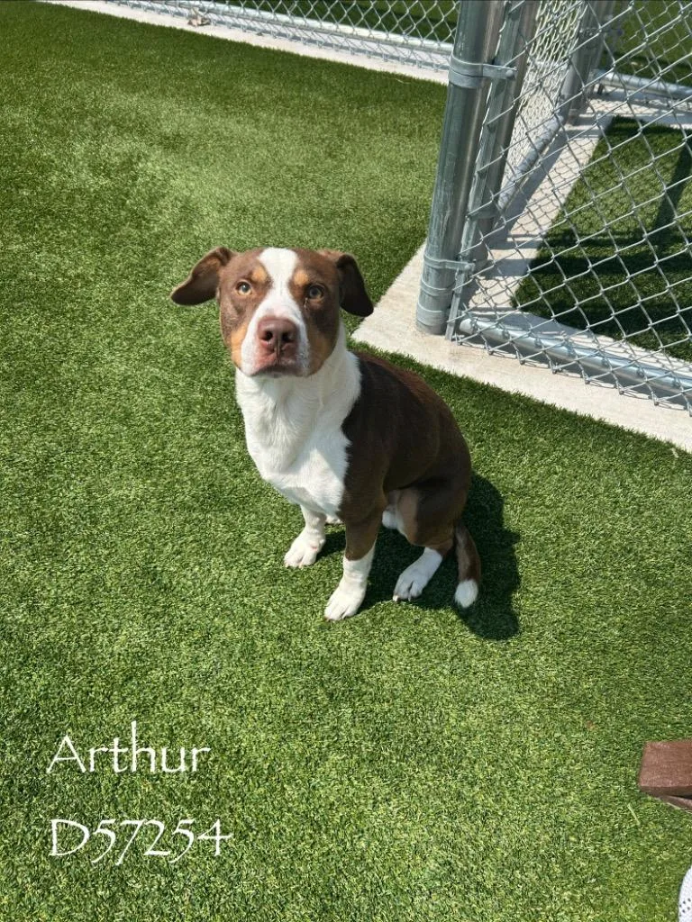 Arthur