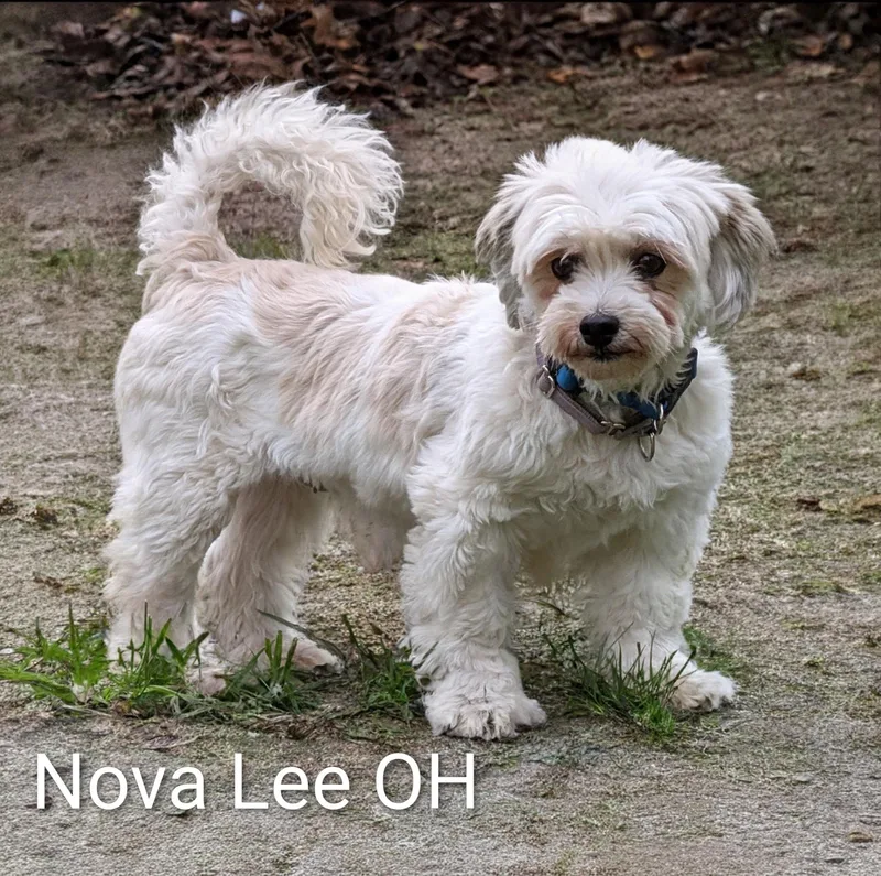 Nova Lee thumbnail 2