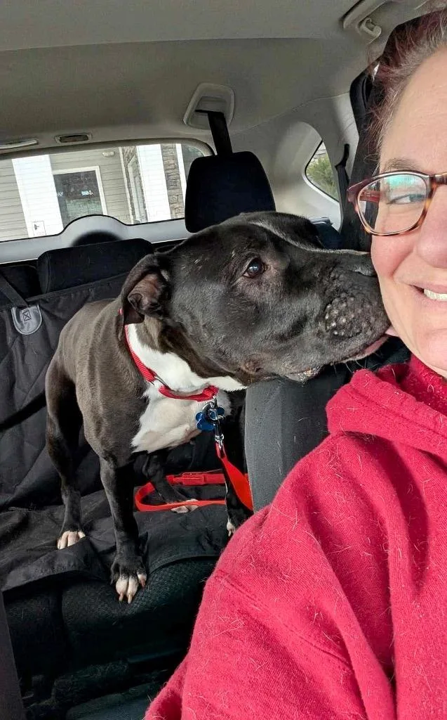 Sweet Shadow  Local thumbnail 4