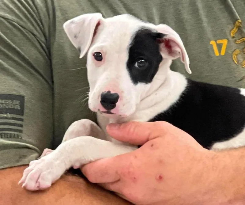 Winifred thumbnail 2