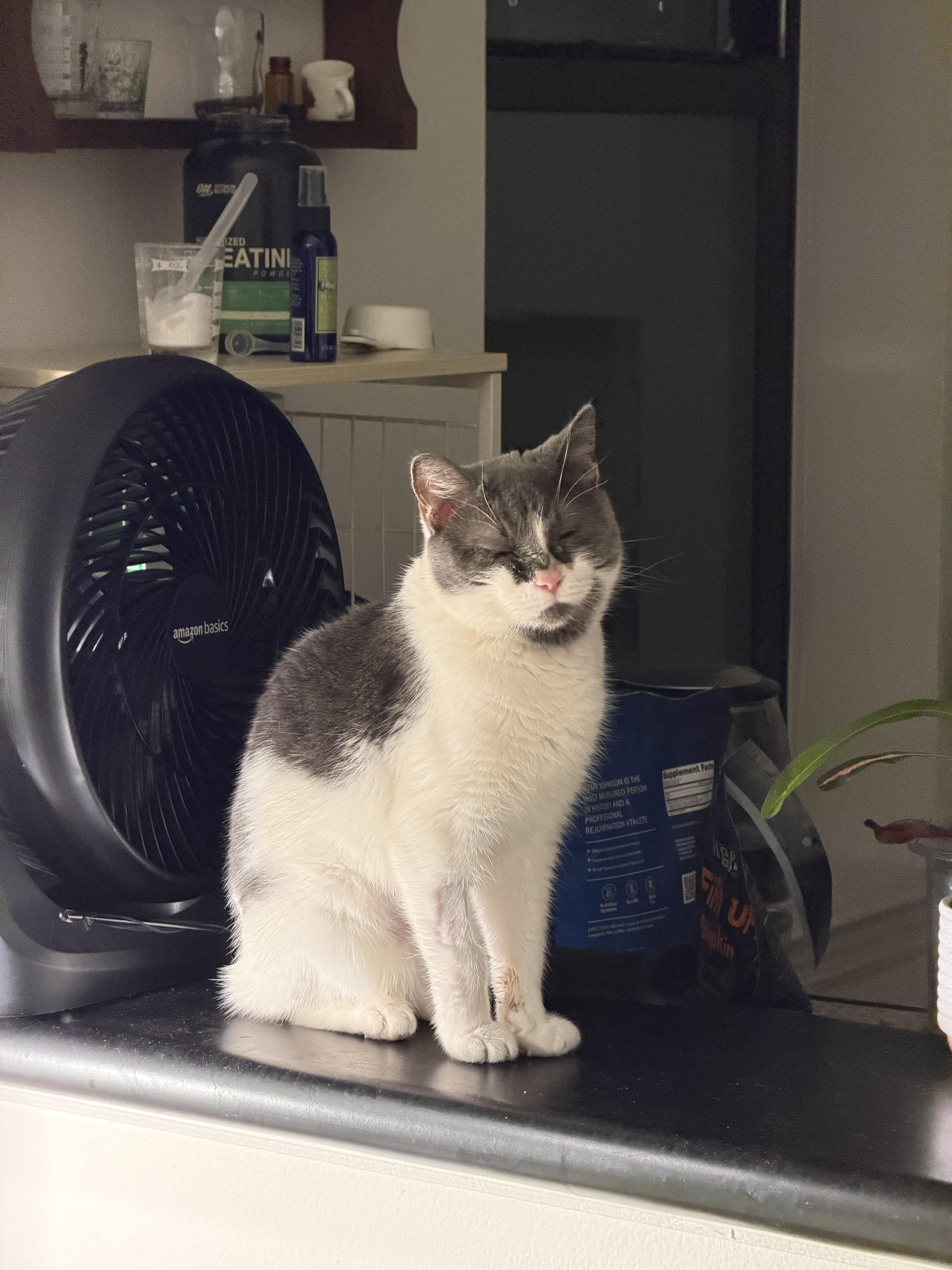 Chiquita Bonita thumbnail 4