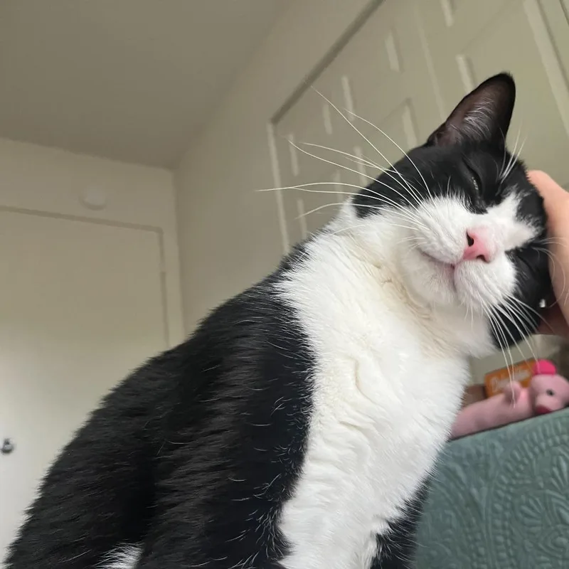 Eddie thumbnail 2