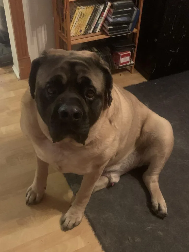 Zeus Courtesy Listing thumbnail 2