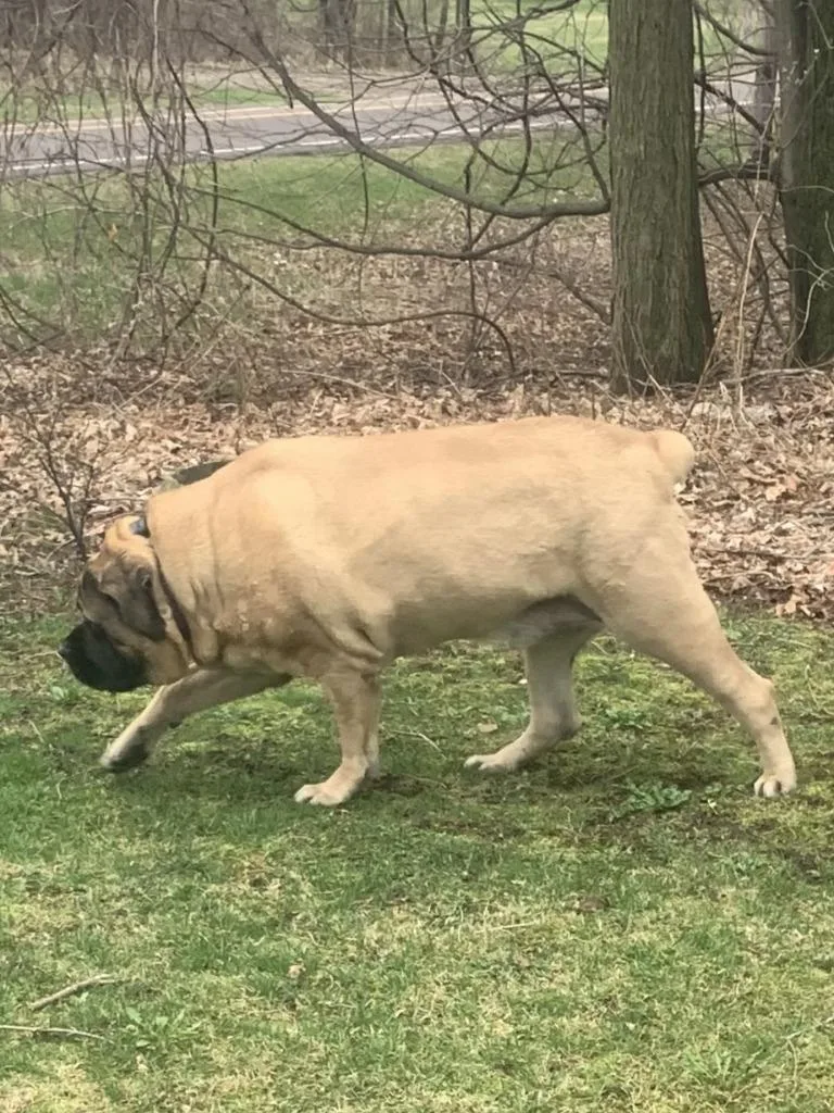 Zeus Courtesy Listing thumbnail 3