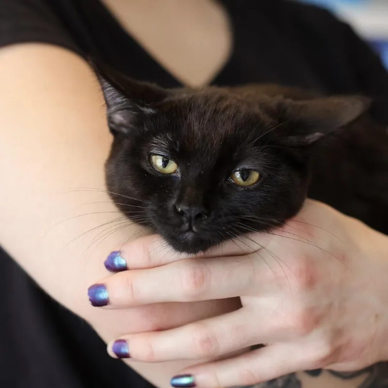 Sabrina thumbnail 2