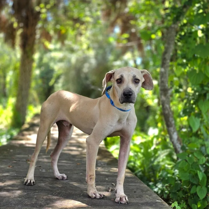 Jack Skellington thumbnail 2