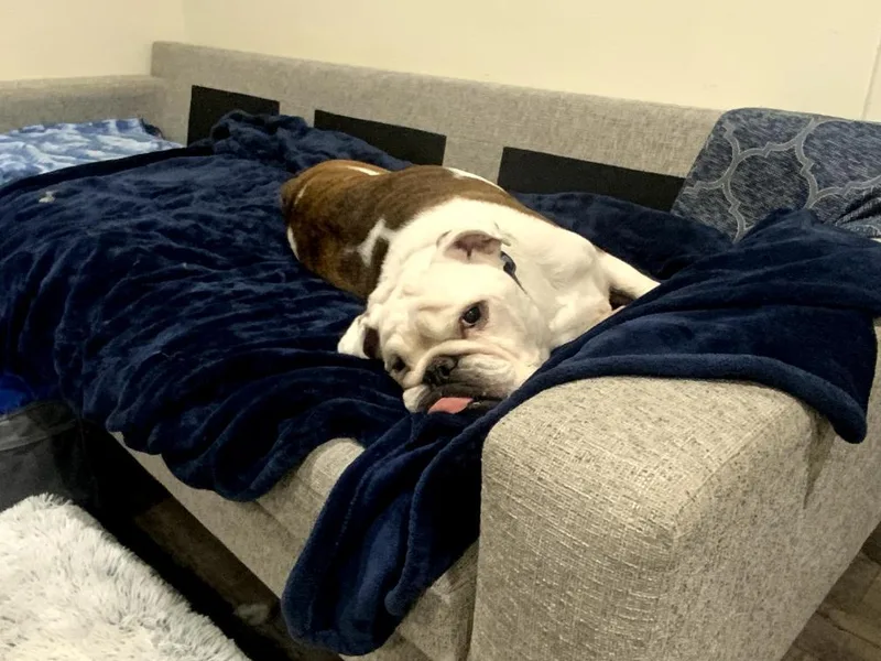 Romeosan Diego  Ca thumbnail 2