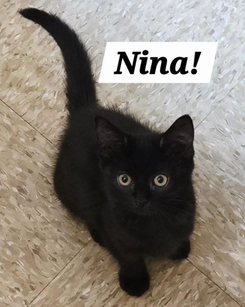 Nina