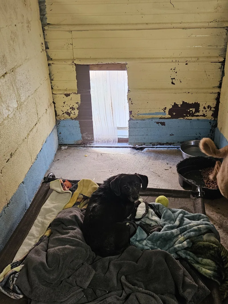 Zoey Waltz thumbnail 2