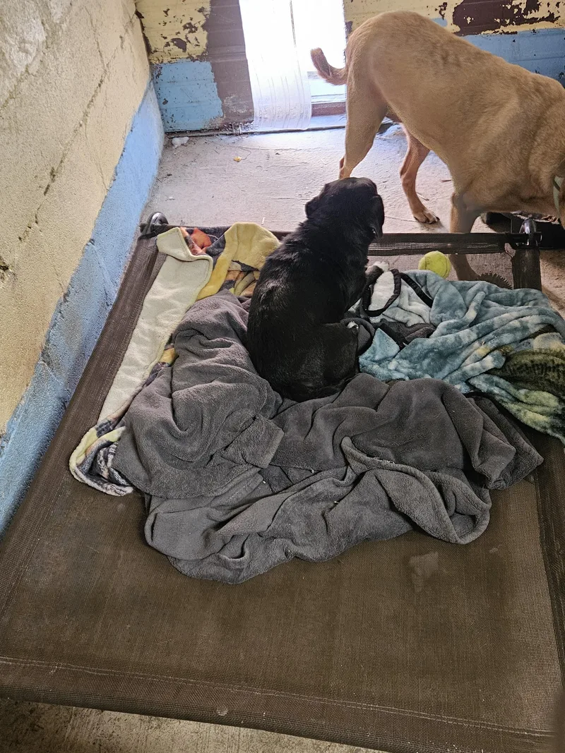 Zoey Waltz thumbnail 3