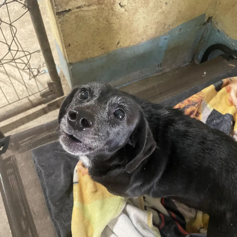 Zoey Waltz thumbnail 4