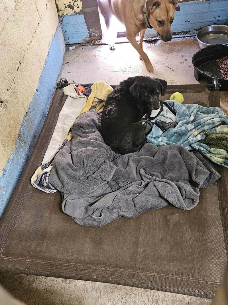 Zoey Waltz thumbnail 5