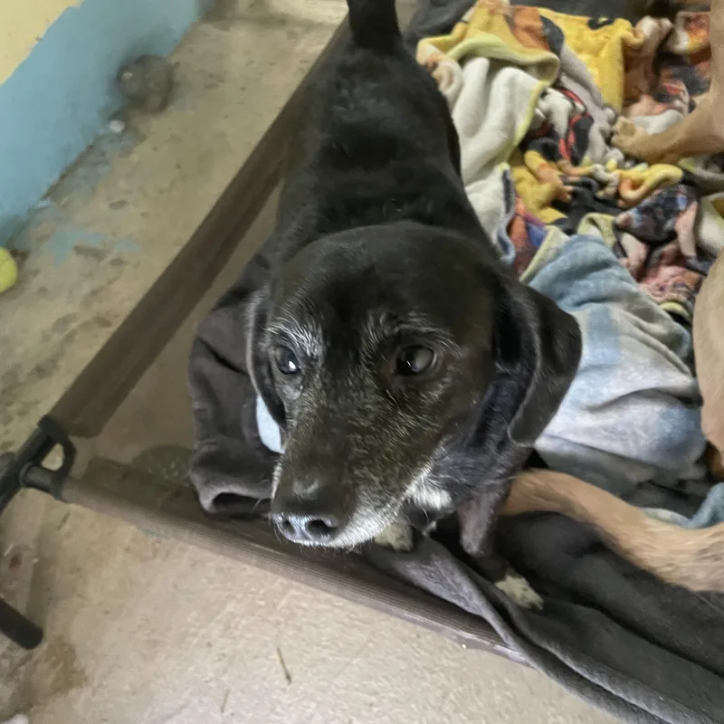 Zoey Waltz thumbnail 6