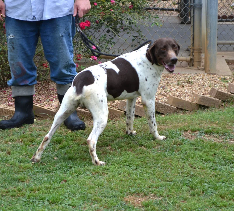 John Wayne thumbnail 2