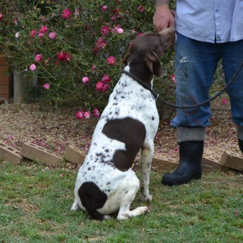 John Wayne thumbnail 3