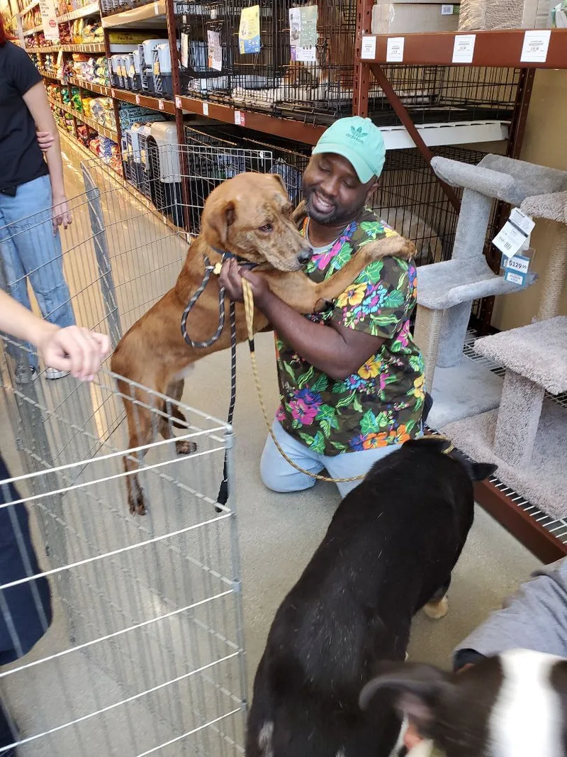 Sir Darwin At Your thumbnail 3