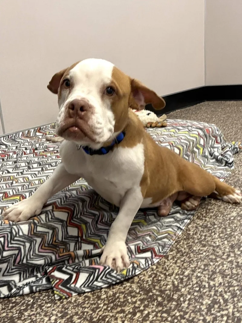 Andy thumbnail 4