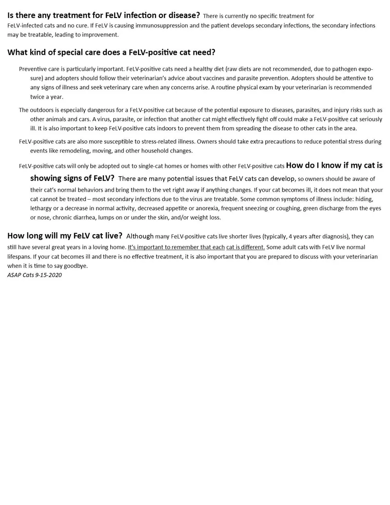 Sylvester thumbnail 5