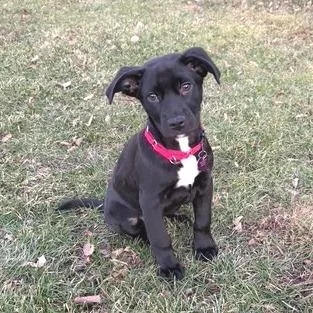 Lonesome Dove thumbnail 2