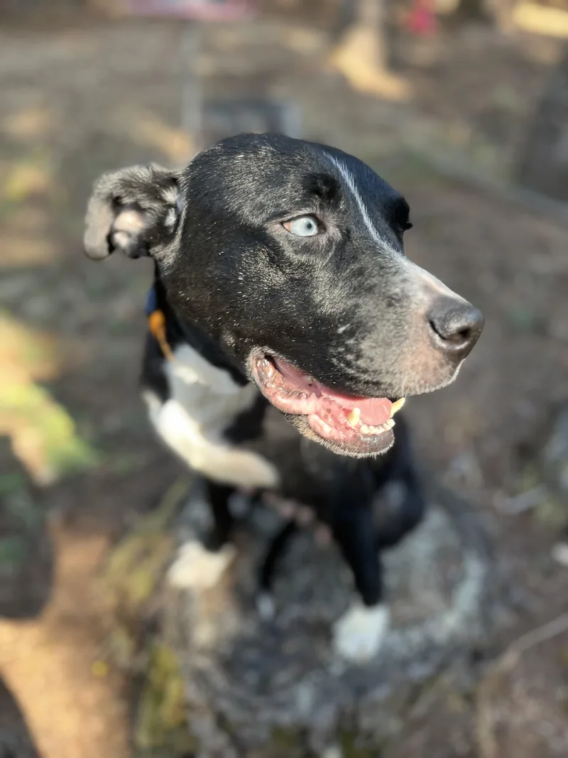 Luna