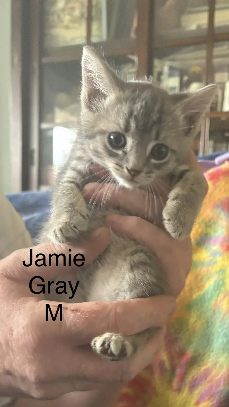 Jamie