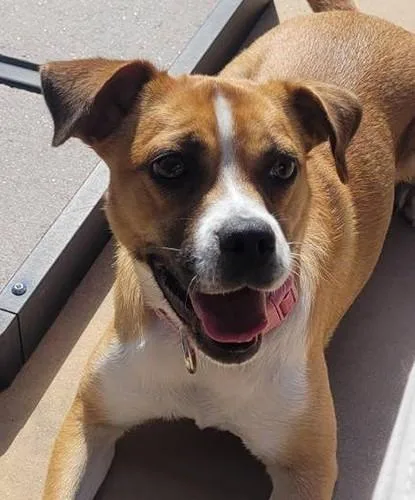 Coco