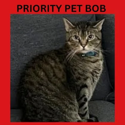 Bob  `a Priority