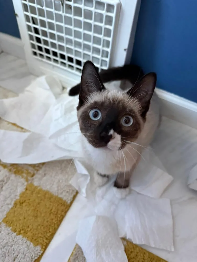 Fiona No longer accepting thumbnail 3