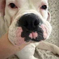 Simone thumbnail 6