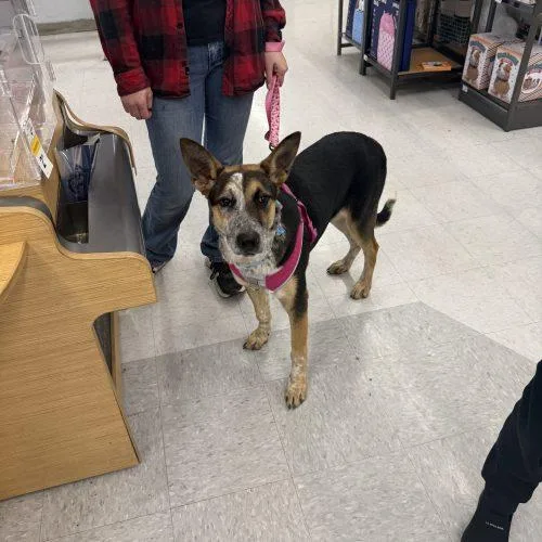 Graphite thumbnail 2