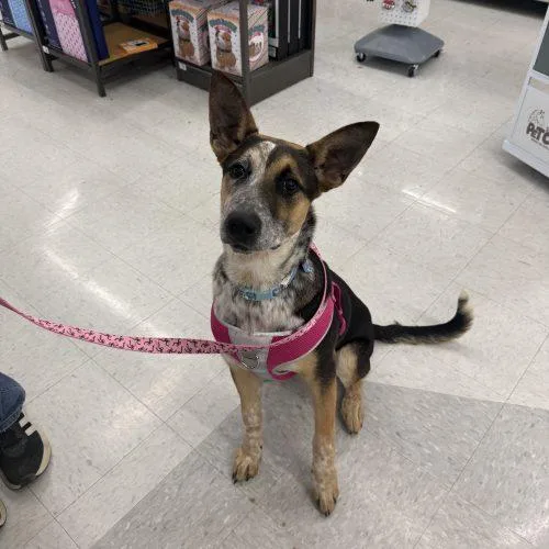 Graphite thumbnail 3