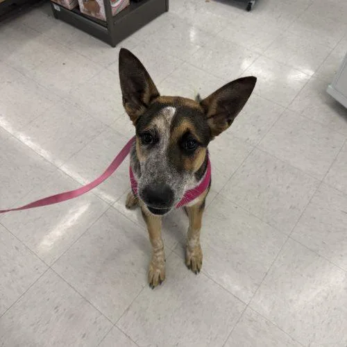 Graphite thumbnail 5