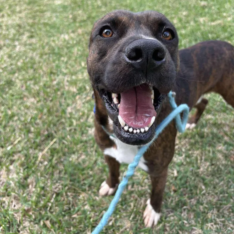 Tennessee And Whiskey thumbnail 2