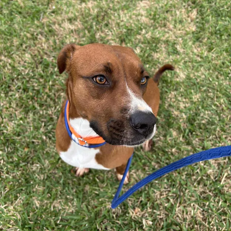 Tennessee And Whiskey thumbnail 3