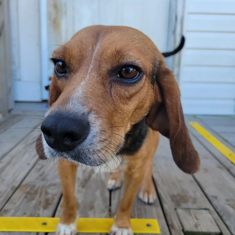 Franklin thumbnail 2