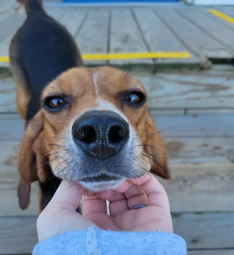 Franklin thumbnail 5