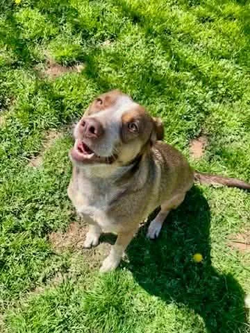 Sweet Grass thumbnail 2