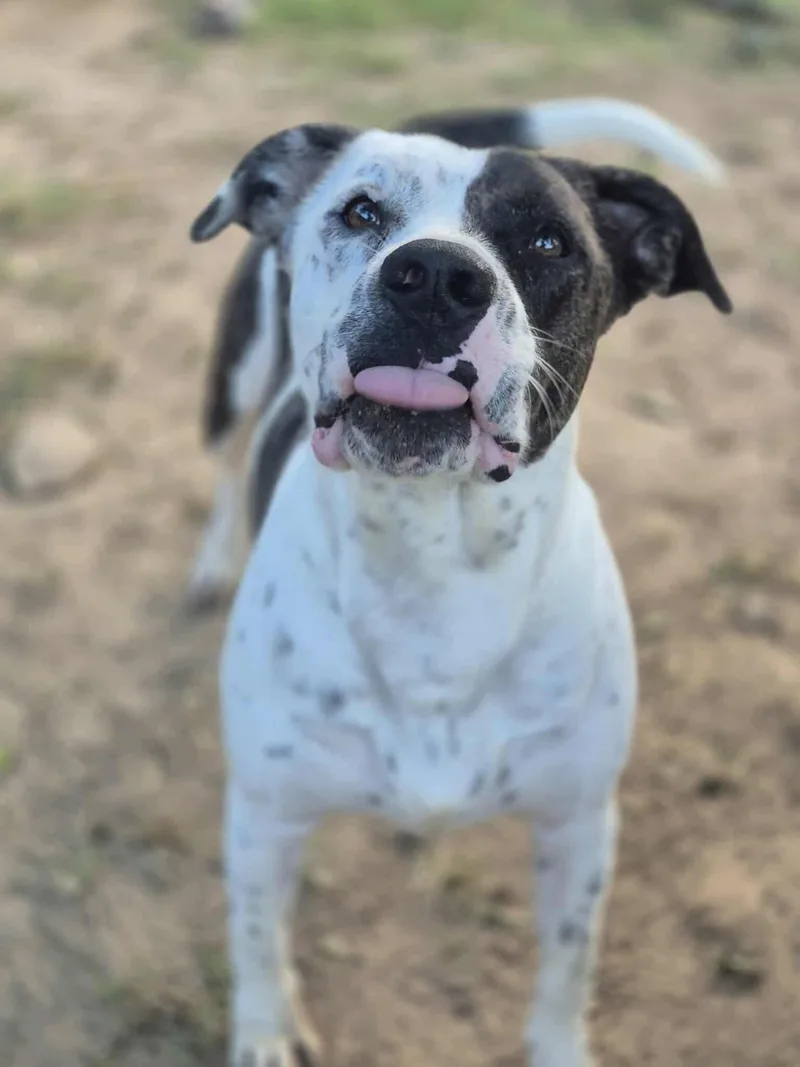 Peter Parker thumbnail 2