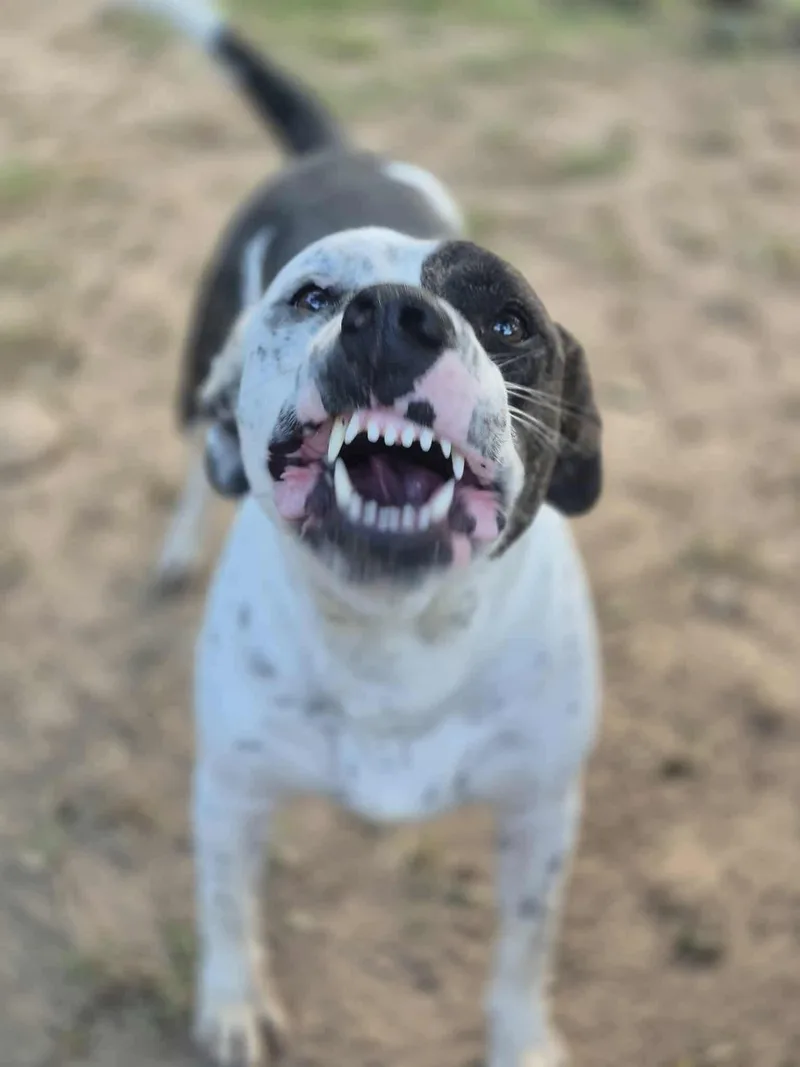 Peter Parker thumbnail 3