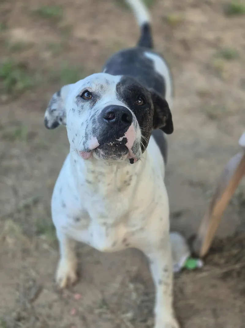 Peter Parker thumbnail 4