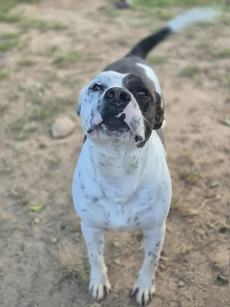 Peter Parker thumbnail 5