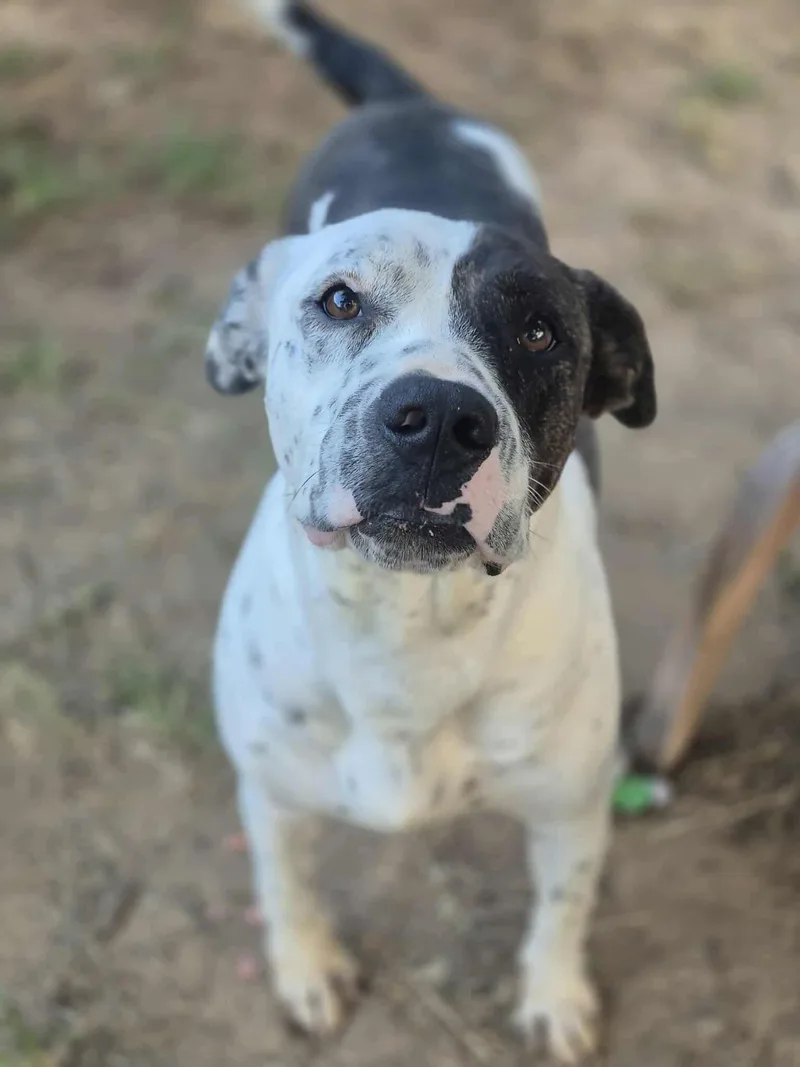 Peter Parker thumbnail 6