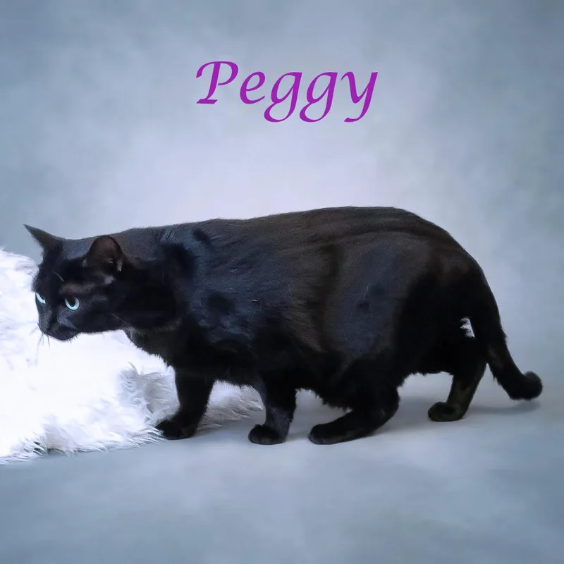 Peggy C thumbnail 3