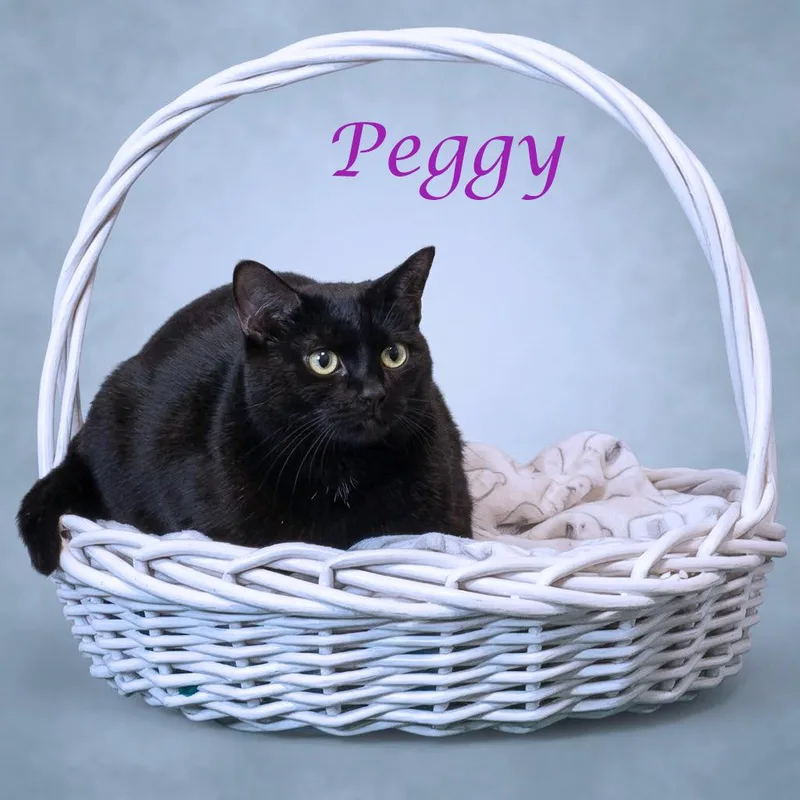 Peggy C thumbnail 4