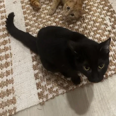 Michelle thumbnail 2