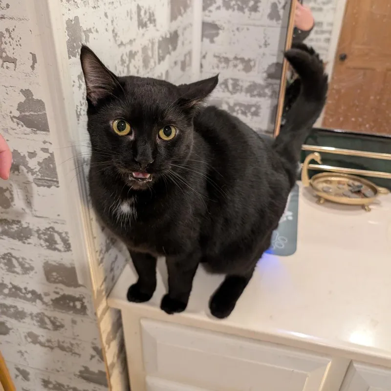 Michelle thumbnail 3