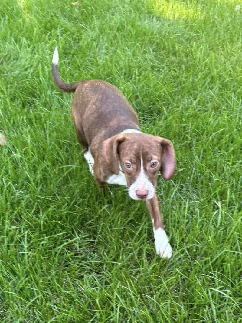 Matilda
