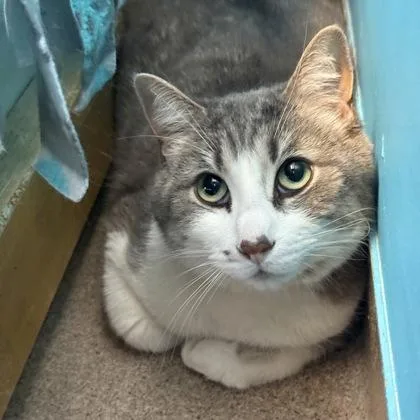 David Pawstrnak thumbnail 2