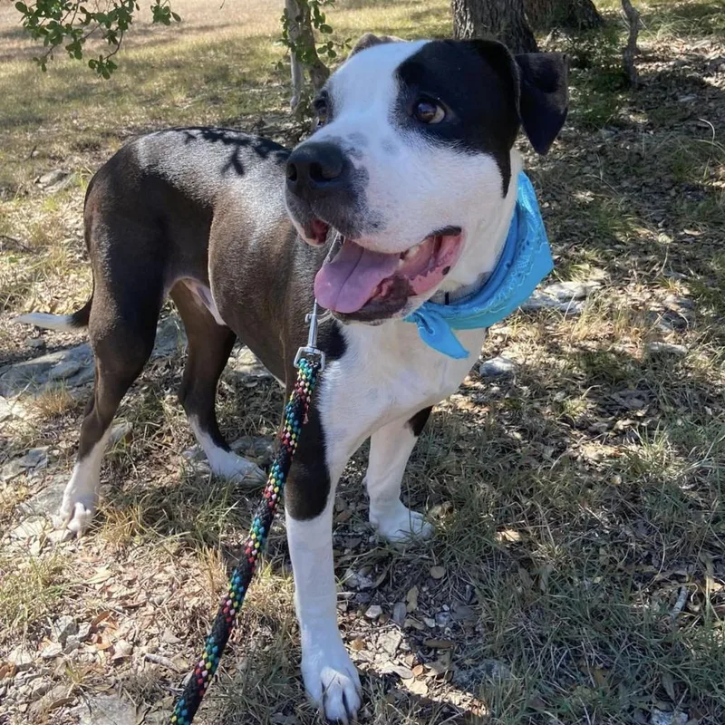 Mickey Jum thumbnail 2